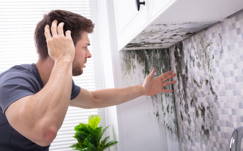 Can A Hair Dryer Kill Mold?