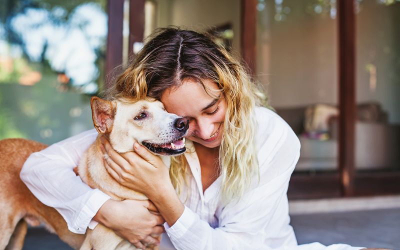 Do Dryer Sheets Help With Pet Hair?