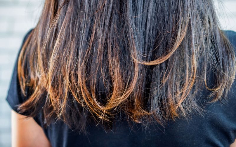 how-can-you-tell-your-hair-is-unhealthy-updated-march-2023